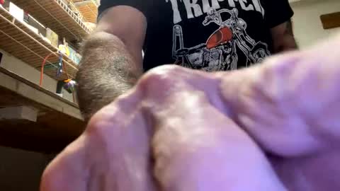 gngnxxx online show from 23, 10, 2025