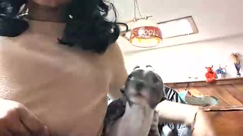 goddessxxamina online show from 13, 1, 2026