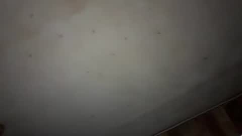 godseekingatheist online show from 9, 11, 2025