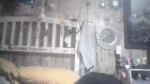 Celeste online show from 17, 1, 2026