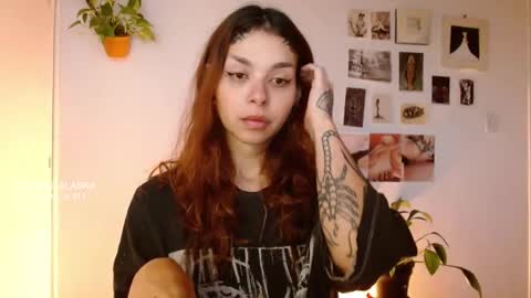 Alaska online show from 29, 10, 2025