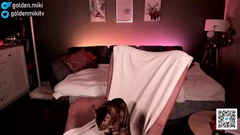 Snapshot of golden_miki chatting on 2, 2, 2025 Shy in the streets but a freak in the sheets online show from 2, 2, 2025