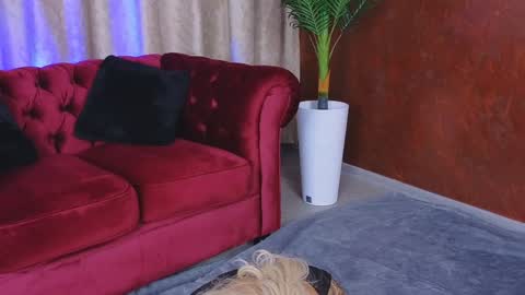 Snapshot of goldenamberx chatting on 29, 1, 2025 GoldenAmberX online show from 29, 1, 2025