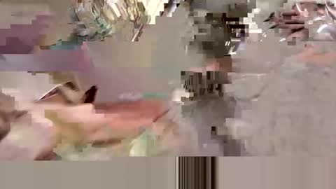 Snapshot of gonadalache chatting on 21, 4, 2026 gonadalache online show from 21, 4, 2026