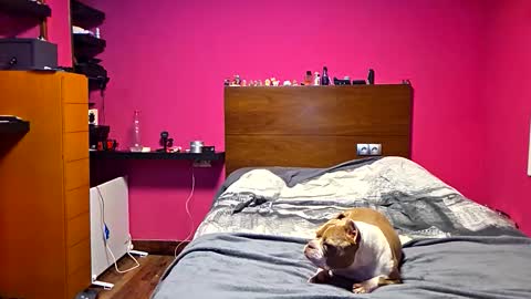 Snapshot of gonzalobilbaogon chatting on 23, 3, 2026 gonzalo online show from 23, 3, 2026