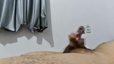 Good boy online show from 19, 12, 2025