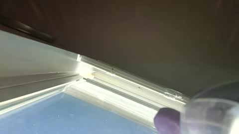 goosetrucker982440 online show from 30, 9, 2025