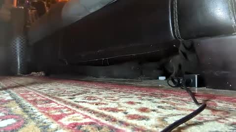 Snapshot of gothicfeetfantasies chatting on 25, 1, 2025 Mistress Mommy Godess online show from 25, 1, 2025