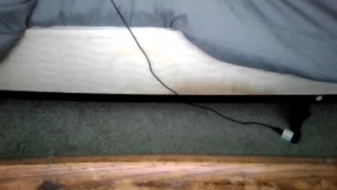 Snapshot of gowiththeflow37 chatting on 28, 6, 2026 watch me stroke online show from 28, 6, 2026