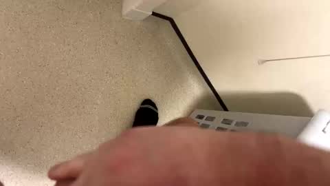 gphill online show from 10, 2, 2026