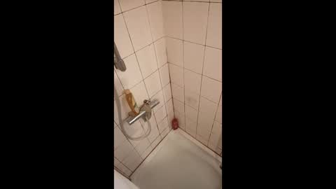 Snapshot of grakex chatting on 22, 4, 2026 Grakex online show from 22, 4, 2026