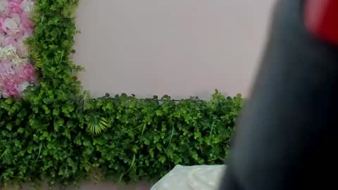 Mi Name is violeta  online show from 1, 3, 2025