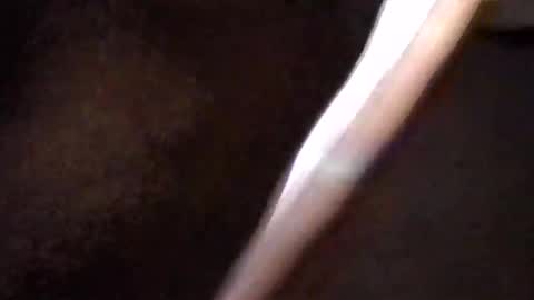 Get US to 1000 you wont be disapointed online show from 16, 3, 2026