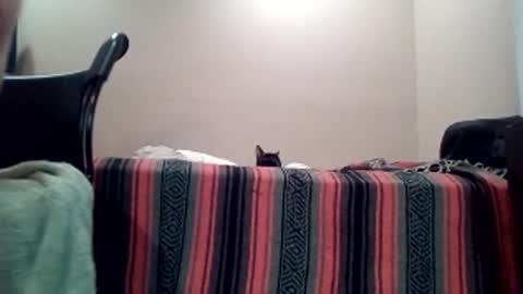 Jack online show from 11, 4, 2026