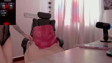 Medussa online show from 1, 3, 2026