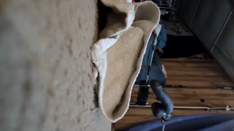 electrogee1 online show from 15, 3, 2026