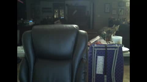 David online show from 20, 12, 2024