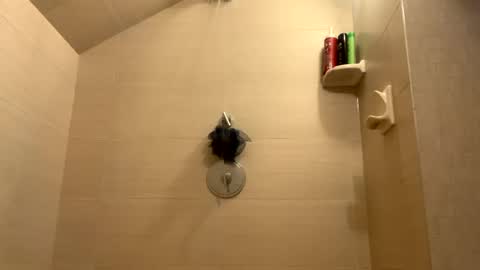 Snapshot of greyvan96 chatting on 31, 12, 2024 Perfectlyaveragesavage online show from 31, 12, 2024