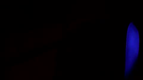 grisa01 online show from 3, 3, 2025