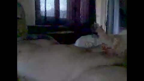 Snapshot of grittslappa chatting on 14, 11, 2025 grittslappa online show from 14, 11, 2025