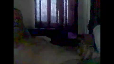 Snapshot of grittslappa chatting on 14, 12, 2025 grittslappa online show from 14, 12, 2025