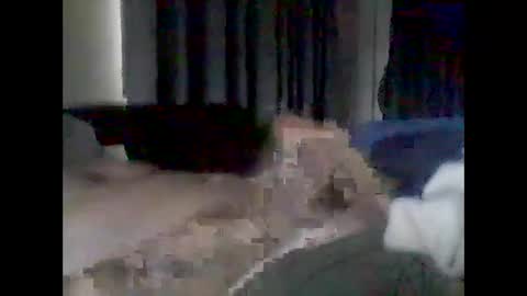 Snapshot of grittslappa chatting on 17, 2, 2026 grittslappa online show from 17, 2, 2026