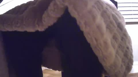 Snapshot of grower2153 chatting on 24, 11, 2025 grower2153 online show from 24, 11, 2025