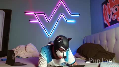 Alpha pup online show from 22, 10, 2025