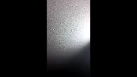 gudonoso online show from 16, 12, 2025