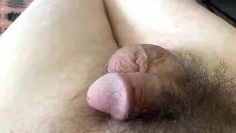 Snapshot of guttersnipe71 chatting on 1, 4, 2026 guttersnipe71 online show from 1, 4, 2026