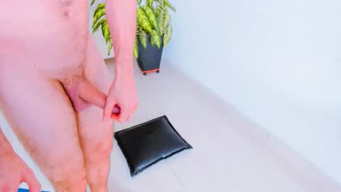 Snapshot of h0ney__p0t chatting on 12, 3, 2026 Margareth Stallion online show from 12, 3, 2026