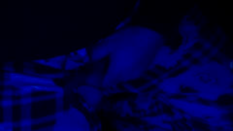 Snapshot of h2omygod chatting on 14, 12, 2024 H2omygod online show from 14, 12, 2024