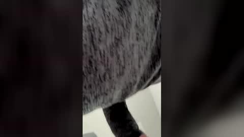 Snapshot of h4fun69 chatting on 6, 3, 2026 Ricko online show from 6, 3, 2026