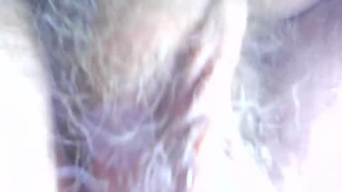 Snapshot of hagridthehorrible chatting on 7, 4, 2026 hagridthehorrible online show from 7, 4, 2026