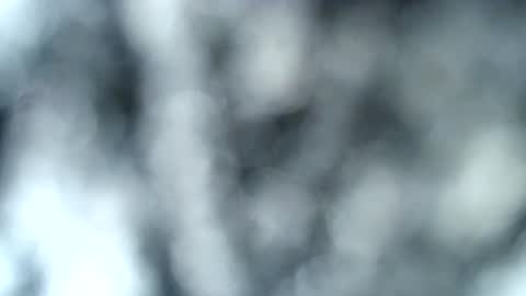 Snapshot of haileyblonde chatting on 17, 1, 2025 tatted blonde online show from 17, 1, 2025