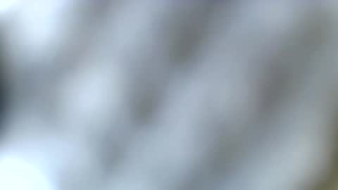 tatted blonde online show from 23, 12, 2025