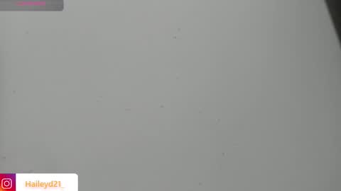 Hailey online show from 15, 3, 2026