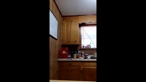 Snapshot of hailstorm32 chatting on 19, 4, 2026 hailstorm32 online show from 19, 4, 2026