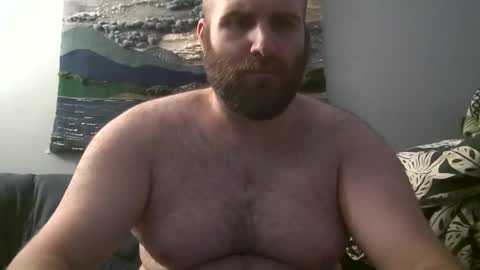 Hairiest Bear online show from 3, 12, 2024