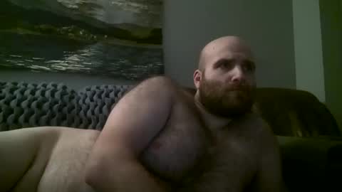 Hairiest Bear online show from 11, 1, 2025