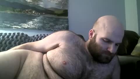 Hairiest Bear online show from 12, 1, 2025