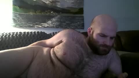 Hairiest Bear online show from 15, 1, 2025