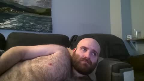 Hairiest Bear online show from 21, 1, 2025