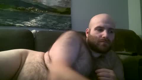 Hairiest Bear online show from 16, 2, 2025