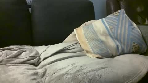 Hairiest Bear online show from 18, 2, 2025