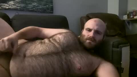 Hairiest Bear online show from 2, 3, 2025