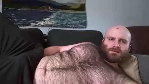 Hairiest Bear online show from 2, 3, 2025