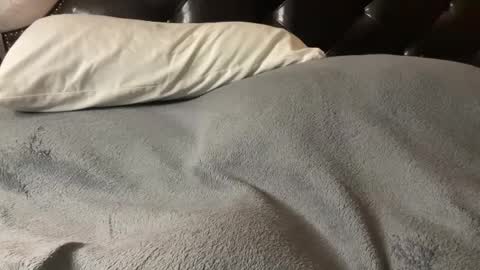 J  M online show from 4, 3, 2025