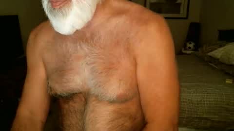 Snapshot of hairypecsguy chatting on 21, 4, 2026 Hairy pecs online show from 21, 4, 2026