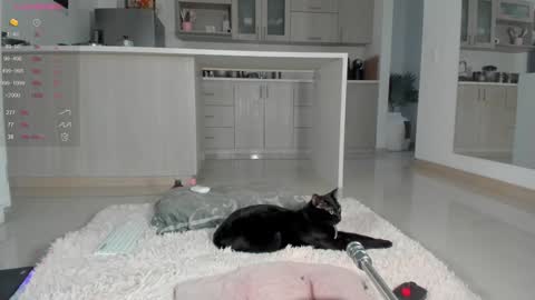 Snapshot of halliee chatting on 12, 12, 2024 insta Laupalacio777Next stream 01th December online show from 12, 12, 2024